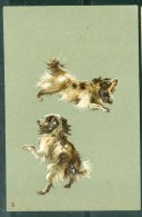 Cpa Gauffrée , Chien Genre épagneuil  ( Edition Raphaél Tuck &amp; Sons  - Aby187 - Honden