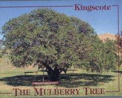 (661) Australia - SA - Kingscote Mulberry Tree - Otros & Sin Clasificación