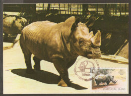 Portugal Carte Maximum Rhinoceros Zoo De Lisbonne 1984 Maximum Card Rhino Lisbon Zoo - Rhinoceros