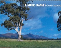 (958) Australia - SA - FLinders Range - Flinders Ranges