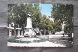 ISLE SUR SORGUE - La Place Gambetta - L'Isle Sur Sorgue