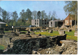 Carte Postale 59. Bavay  Les Fouilles Archéologique Trés Beau Plan - Bavay