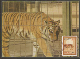 Macau Année Lunaire Du Tigre Carte Maximum 1986 Macao Lunar Year Of The Tiger Maxicard - Maximumkarten