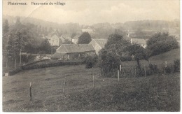 PLAINEVAUX (4122) Panorama Du Village - Neupre