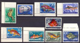 MR849 FAUNA VISSEN ZEEPAARD OCTOPUS KREEFT LOBSTER SEAHORSE FISH FISCHE POISSONS MARINE LIFE JUGOSLAVIJA 1956 Geb/used - Gebraucht