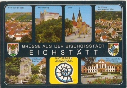 4965/A/FG/13 - EICHSTATT (GERMANIA) - Vedutine - Eichstaett