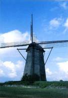 LES MOËRES - Moulin / Mill / Molen - Image Historique (1960) Du Moulin Octogonale Du Dunube (moulin D'assèchement) - Hondshoote