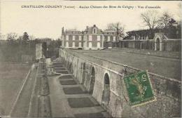 CPA De CHATILLON COLIGNY - Ancien Château Des Sires De Coligny - Vue D'ensemble. - Chatillon Coligny