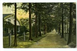 Rijsenburg Ericalaan - Driebergen – Rijsenburg