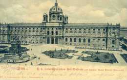 WIEN-VIENNA. Naturhistorisches Hof Museum. Posted For TRIEST 1900. - Museos