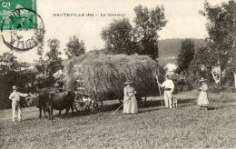 HAUTEVILLE (01) Agriculture Trravaux Des Champs Fenaison Attelage De Boeufs Gros Plan - Hauteville-Lompnes