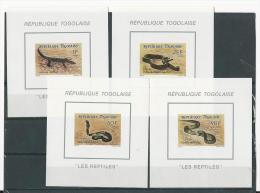 Togo: 1293/ 1296 ** En Feuillets De Luxe  (Serpents - Lézard) - Serpents