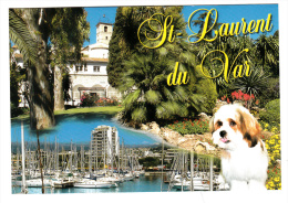 06 - Saint Laurent Du Var - Aperçu Sur Le Clocher - Le Port - Editeur: MSC N° 426 - Saint-Laurent-du-Var