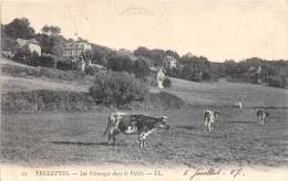 Veulettes   76      Villa   Paturage     Vaches - Sonstige & Ohne Zuordnung