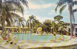 Florida Saint Petersburg Cocoanut Grove Motel With Pool 1962 - St Petersburg