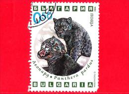 BULGARIA - Usato - 1992 - Animali Predatori - Leopardo - Pantera - 0.50 - Oblitérés