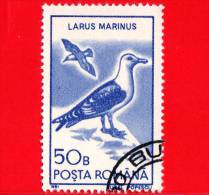 ROMANIA - 1991 - Uccelli - Gabbiani - Birds - Larus Marinus - 50 B - Usado