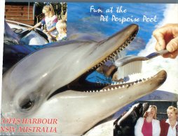 (981) Australia - NSW - Coffs Harbour Dolphin - Coffs Harbour