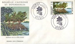 (313) New Caledonia FDC Cover - Premier Jour De Nouvelle Caledonie - 19740 West Coast Countryside - FDC