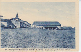 82 REALVILLE - Le Foyer Des Indirectes - La Ferme De Granès - Exploitation Agricole - D17 10 - Realville