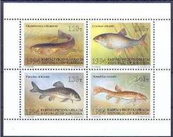 Kyrgyzstan 1994. Animals / Fishes Sheet II. MNH (**) - Kirghizstan