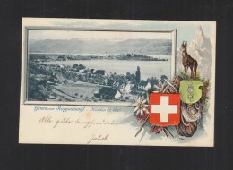 Präge -AK Gruß Aus Rapperswil 1900 - Rapperswil-Jona