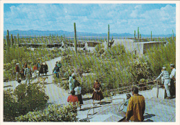 Porch Arizona Sonora Desert Museum Tucson Arizona - Tucson