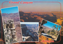 Multi View Grand Canyon National Park Arizona - Grand Canyon