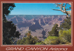 Grand Canyon National Park Arizona - Grand Canyon