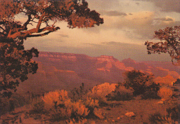 Hopi Point Grand Canyon National Park Arizona - Grand Canyon