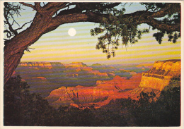 Evening Sun Grand Canyon National Park Arizona - Grand Canyon