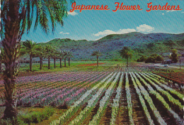 Japanese Flower Gardens Phoenix Arizona - Phönix