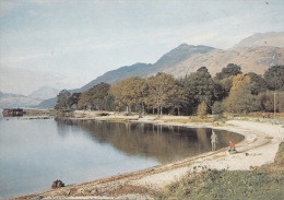 BT17763 Loch Lomond At Rowardennan Stirlingshire    2 Scans - Stirlingshire