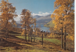 BT17766 Loch Tay Ben Lawers And Meall Garbbh Perthshire  2 Scans - Perthshire
