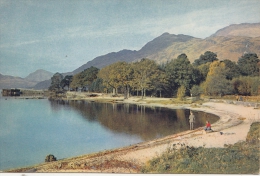 BT17798 Loch Lomond At Rowardennan   2 Scans - Argyllshire