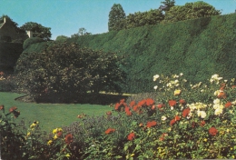 BT17821 Crathes Castle The Uew Hedges From The Rose Gardens    2 Scans - Aberdeenshire