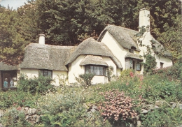 BT17925 National Trust Cattages Selworthy Green Minehead    2 Scans - Minehead