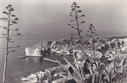 CROATIE,DUBROVNIK Neretva Avant La Guerre,prés De Bosnie Herzégovine,monténégro,le Port,cote Dalmate,rare - Kroatien