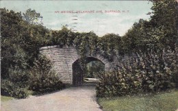 New York Buffalo Ivy Bridge Delaware Avenue 1909 - Buffalo