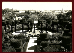 CASTELO BRANCO - JARDIM DO ANTIGO PACO EPISCOPAL - 1950 REAL PHOTO PC - Castelo Branco