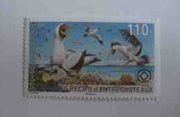 NOUVELLE CALEDONIE FRANCE 2013 NEUF FAUNE OISEAUX RECIFS ENTRECASTEAUX FRENCH NEW CALEDONIA MNH BIRDS FAUNA - Neufs