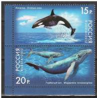 Russia 2012. Animals / Dolphins - Marine Life Set MNH (**) - Delfines