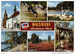 Walsrode - Lünebûrger Heide - Walsrode