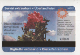 Alt404 Biglietto Autobus Ticket Bus | Bolzano, Bozen | Provincia Autonoma Alto Adige, Fiore Rododendro, Flower, Fleure - Europa