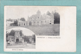 Delcampe - PEPINSTER  2  VUES  -  CHATEAU  DES  MAZURES  -  ENTREE  DU  CHATEAU    -  CARTE PRECURSEUR  - - Pepinster