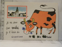 CPM (72) Sarthe - LE GRAND LUCE - Je Ne Suis Pas Vache Je J'écris Du Grand Lucé - Le Grand Luce