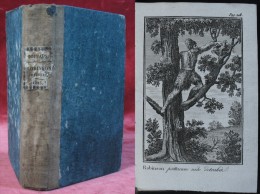 ROBINSON CRUSOEUS De Joachim Heinrich Campe / Texte Latin / Édition Illustrée Delalain 1825 - Oude Boeken