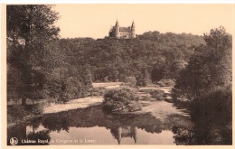 Carte Postale Houyet Château Royal De Ciergnon Et La Lesse - Houyet