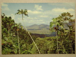 Pioneer Valley From Eungella Range Near Mackay, Queensland, Australia - Mackay / Whitsundays