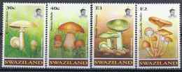 1994 SWAZILAND 630-33 ** Champignons - Swaziland (1968-...)